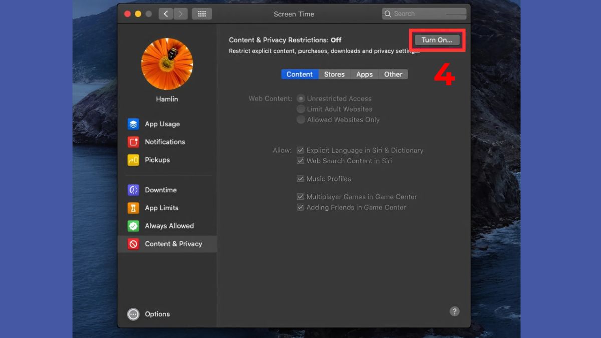 Cách chẵn một trang web tr6n máy tính ở Safari trên MacBook bước 2 2