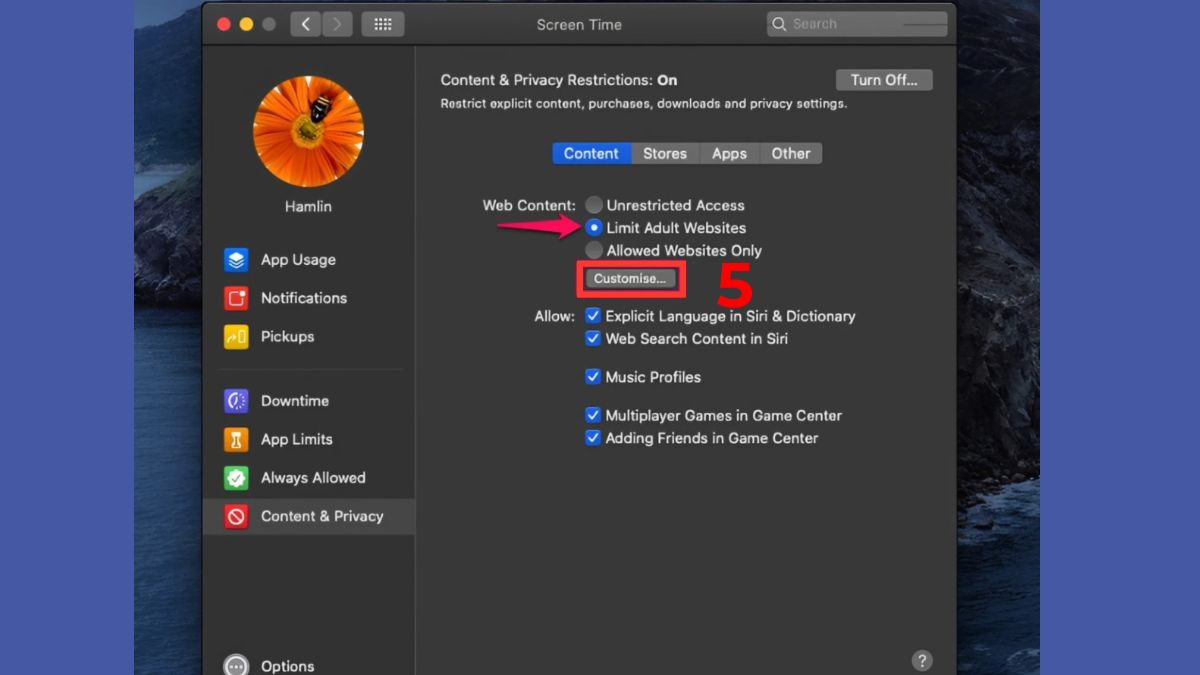 Cách chẵn một trang web tr6n máy tính ở Safari trên MacBook bước 3