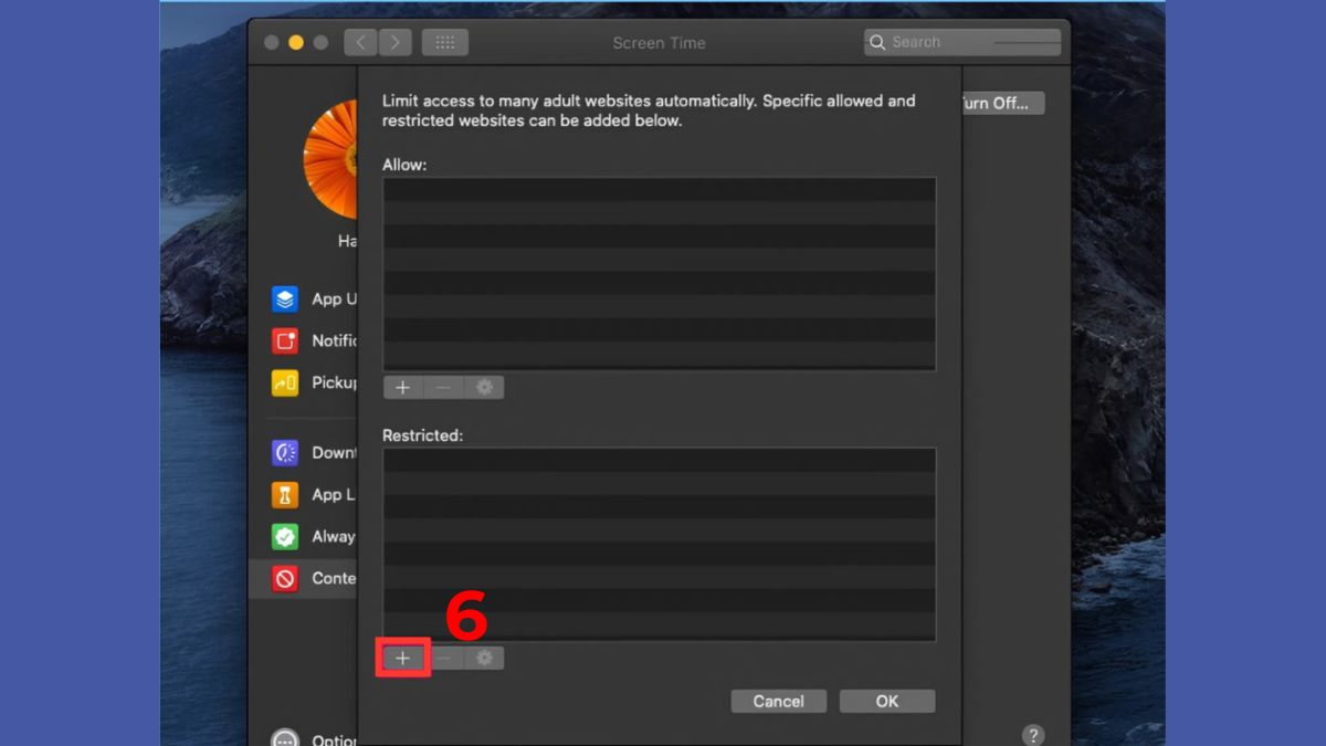 Cách chẵn một trang web tr6n máy tính ở Safari trên MacBook bước 4
