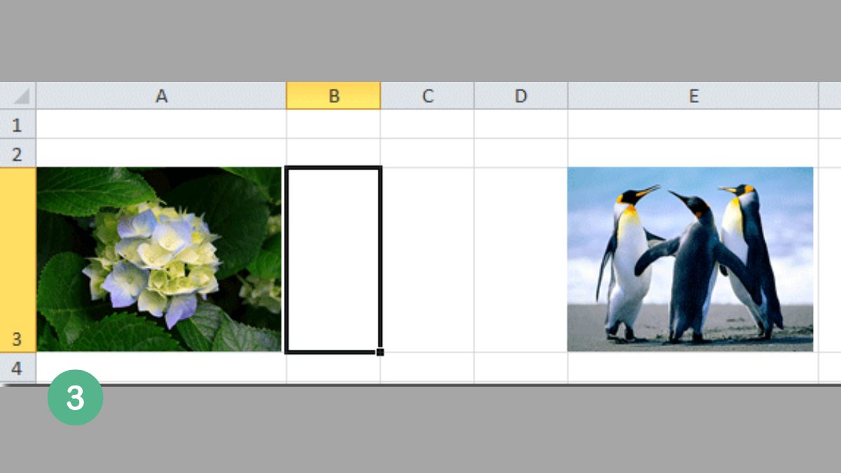 Cách chèn ảnh vào Excel vừa ô bằng VBA bước 3 (Hình minh họa)