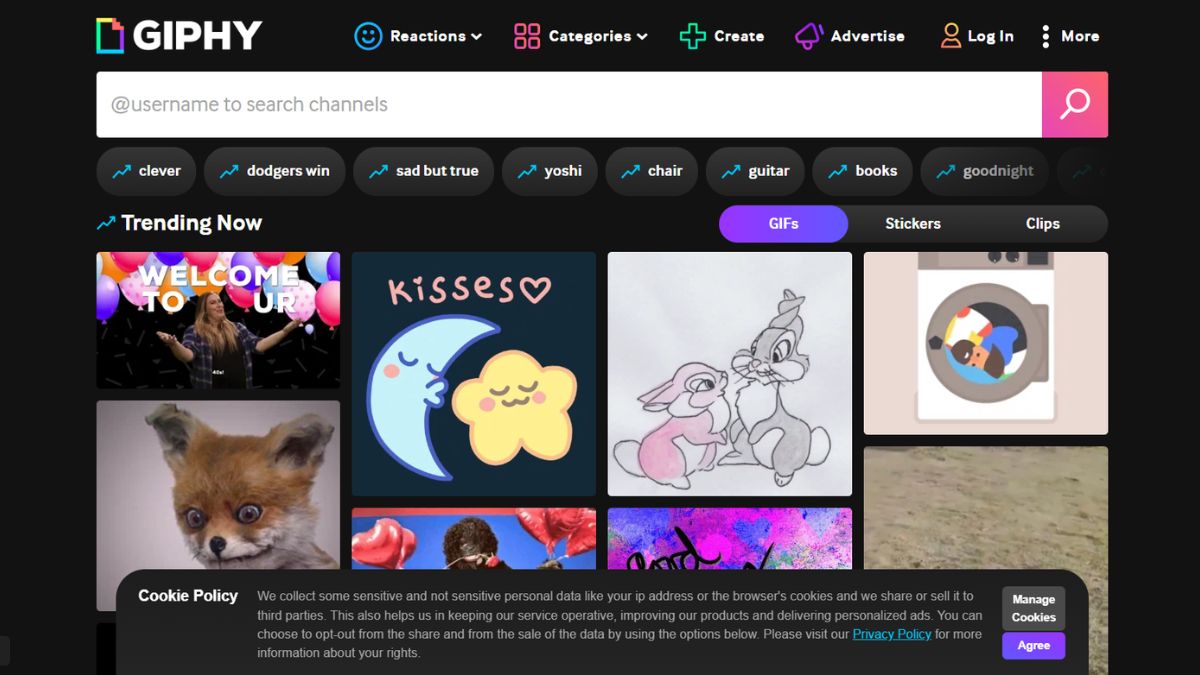 Bạn có thể tìm GIF để chèn vào PowerPoint trên GIFPHY