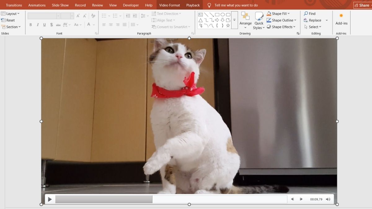 PowerPoint cho phép chỉnh tốc độ video nhưng không hỗ trợ trực tiếp