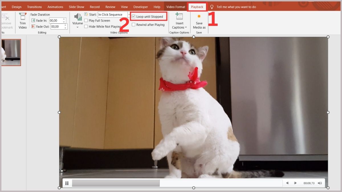 Một số mẹo chỉnh tốc độ video trong PowerPoint 