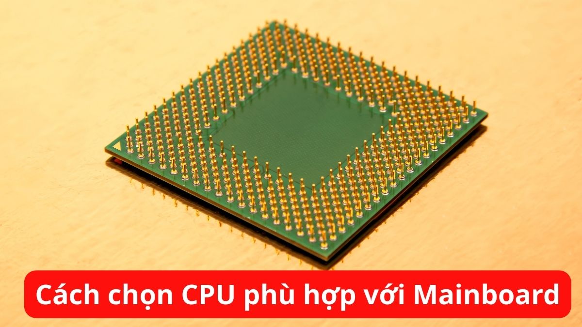 Cách chọn CPU phù hợp với Mainboard chuẩn nhất cho PC 2025
