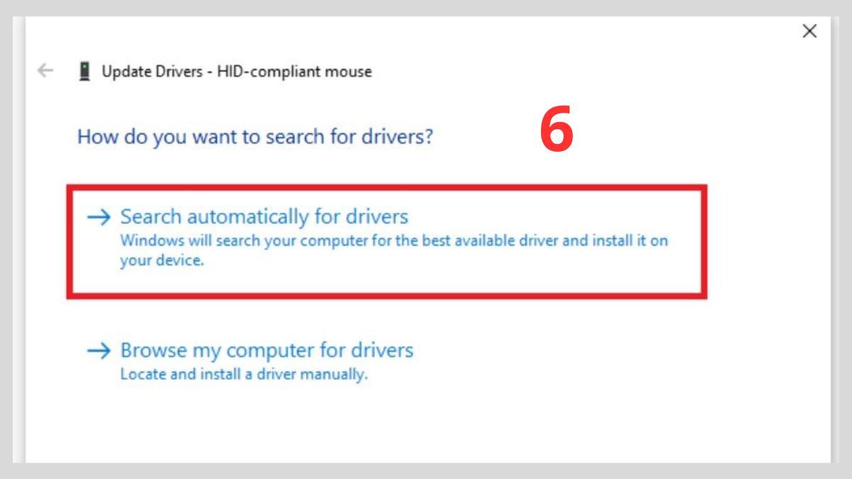 Cách cập nhật driver bước 4