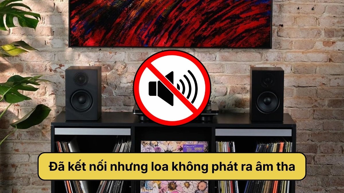 Lỗi đã kết nối nhưng loa không phát ra âm thanh
