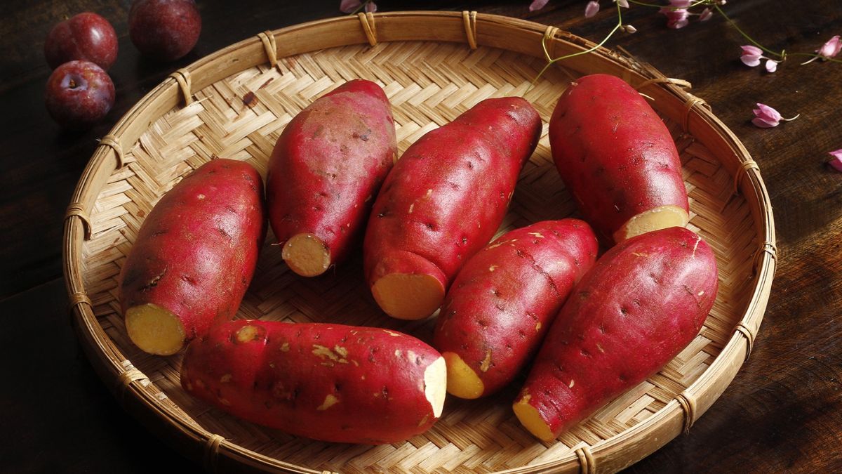 Cách chọn khoai lang ngon để làm khoai lang kén