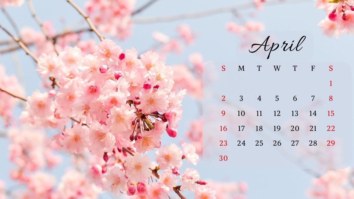 Mẫu lịch treo tường thiên nhiên độc đáo