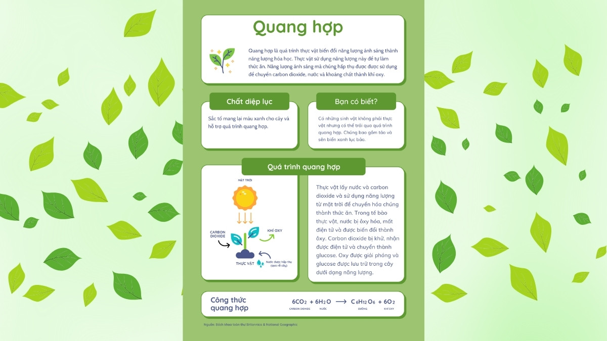 Mẫu Poster trên PowerPoint chủ đề về học tập