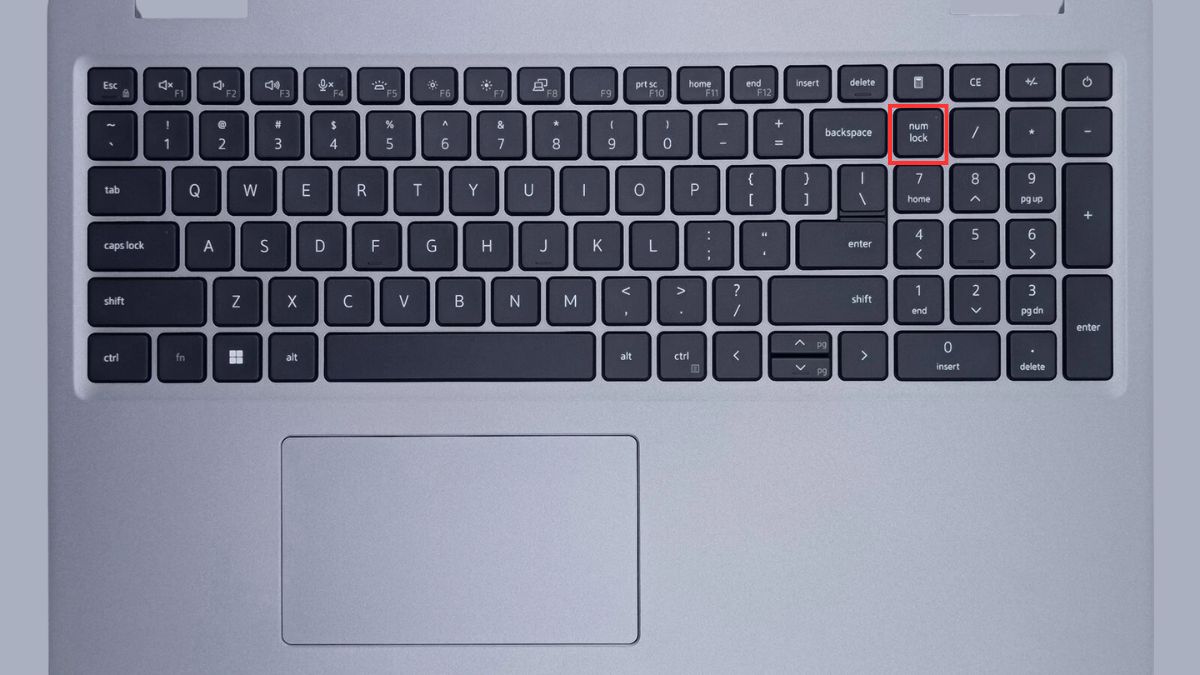 Kiểm tra lại phím NumLock và các phím chức năng