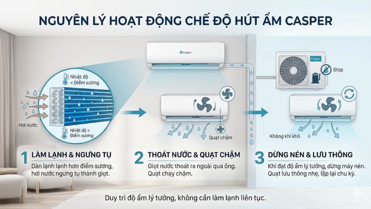 Nguyên lý hoạt động của chế độ hút ẩm Casper