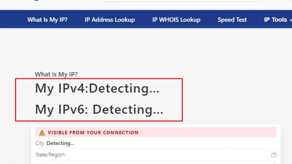 Cách xem IP máy tính thông qua WhatIsMyIP