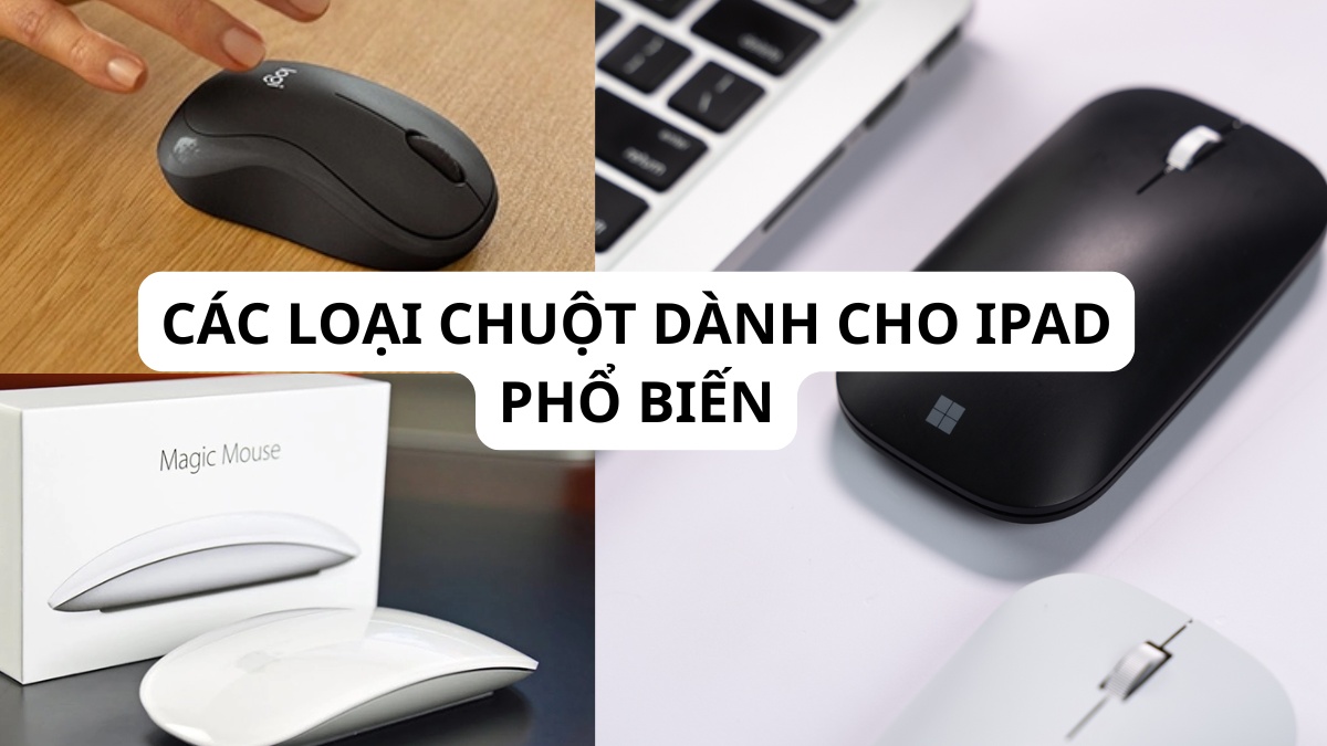 Các loại chuột dành cho iPad phổ biến
