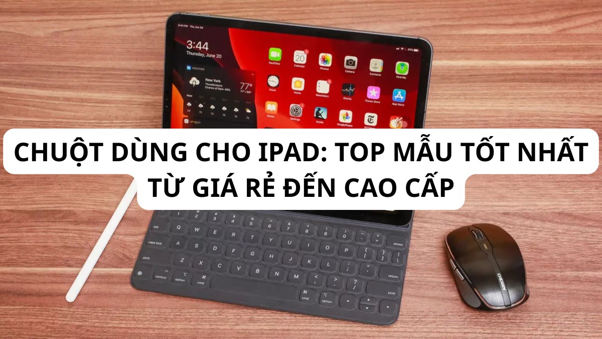 Chuột dùng cho iPad: Top mẫu tốt nhất từ giá rẻ đến cao cấp