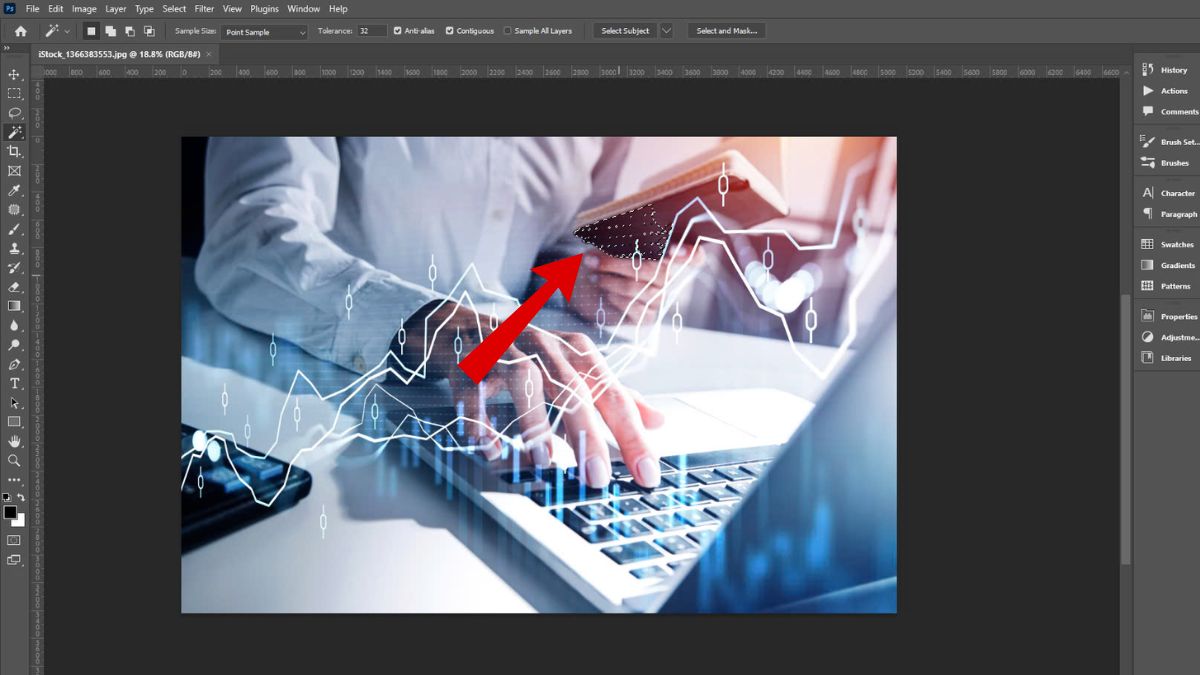 Đảo ngược vùng chọn Photoshop bằng Magic Wand Tool bước 2 (Hình minh họa)