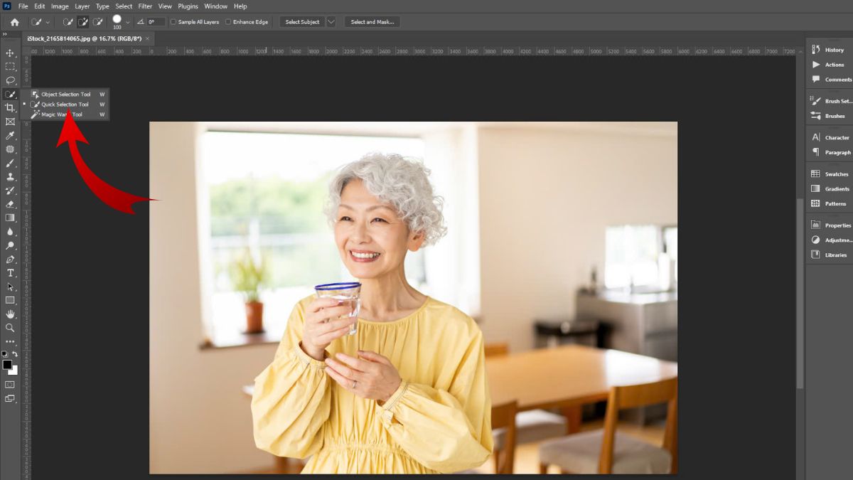 Đảo ngược vùng chọn Photoshop với Quick Selection Tool bước 1 (Hình minh họa)