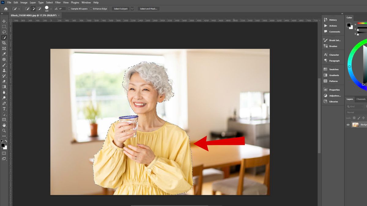 Đảo ngược vùng chọn Photoshop với Quick Selection Tool bước 2 (Hình minh họa)