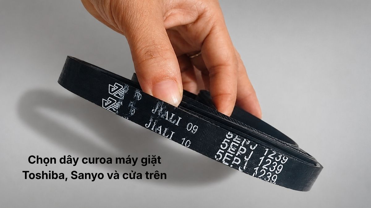 Chọn dây curoa máy giặt Toshiba, Sanyo và cửa trên
