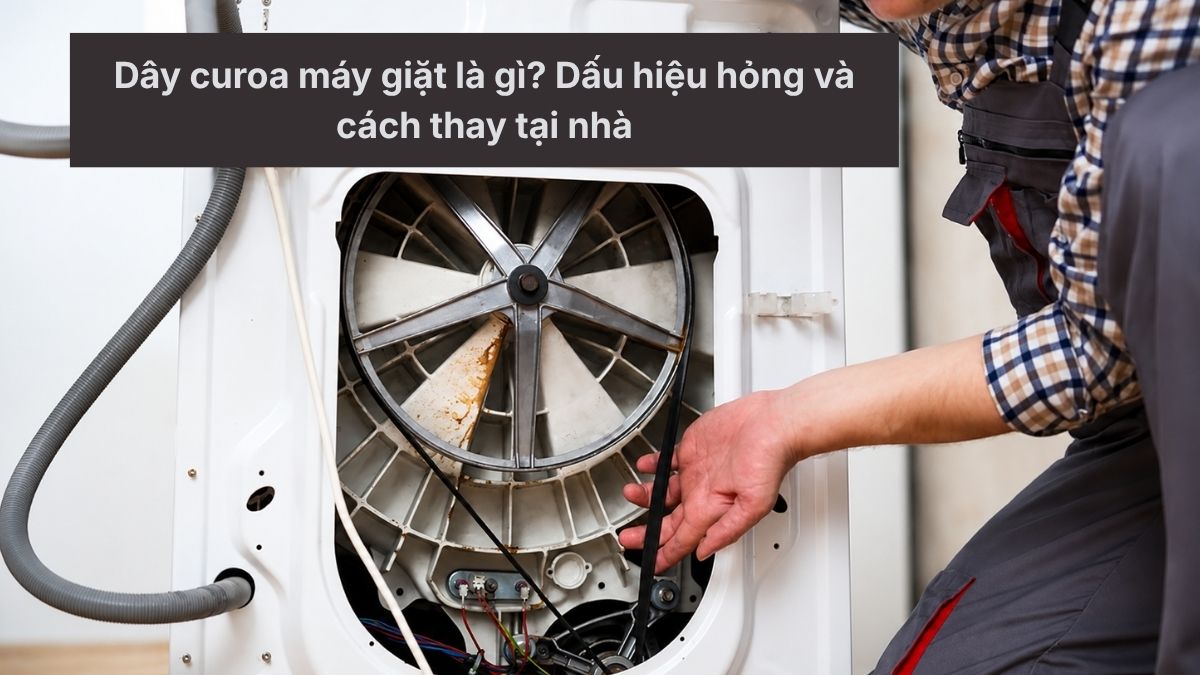 Dây curoa máy giặt là gì? Hướng dẫn kiểm tra và thay thế