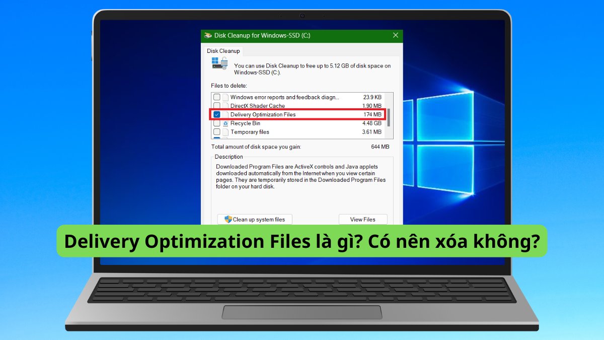Delivery Optimization Files là gì? Có nên xóa không?