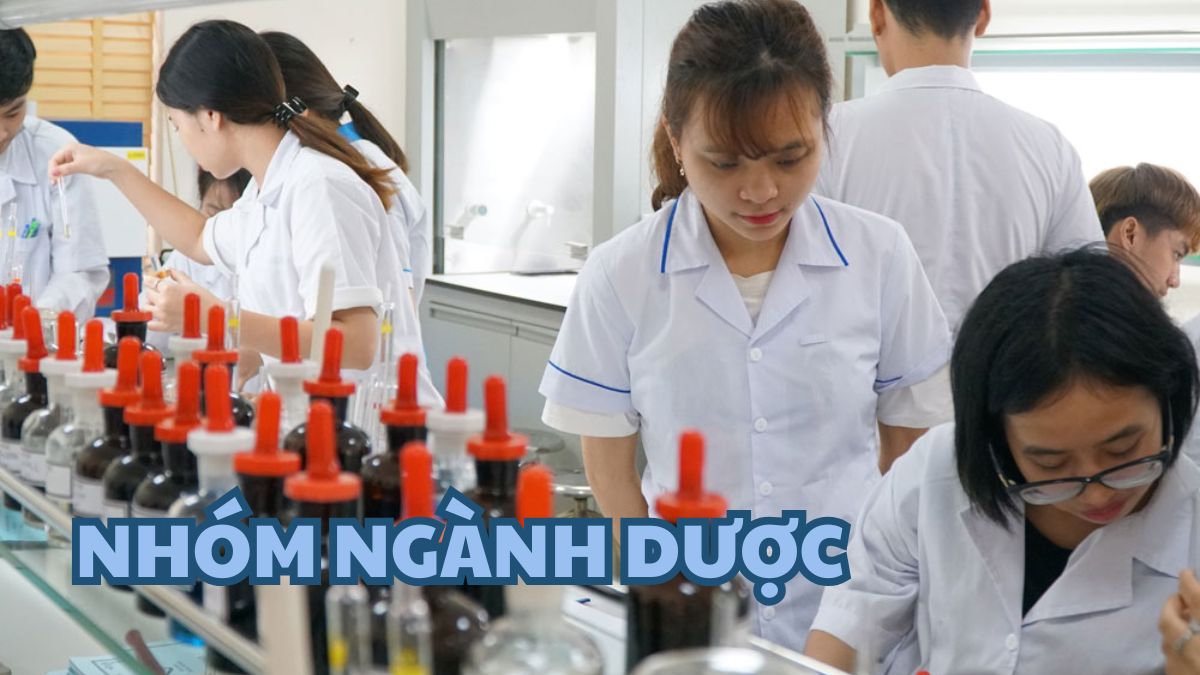 Nhóm ngành dược học tại Trường Đại học Hòa Bình