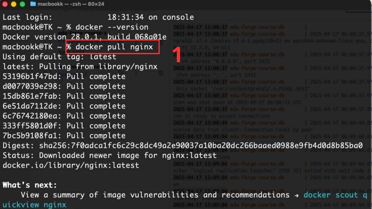 Tải image từ Docker Hub