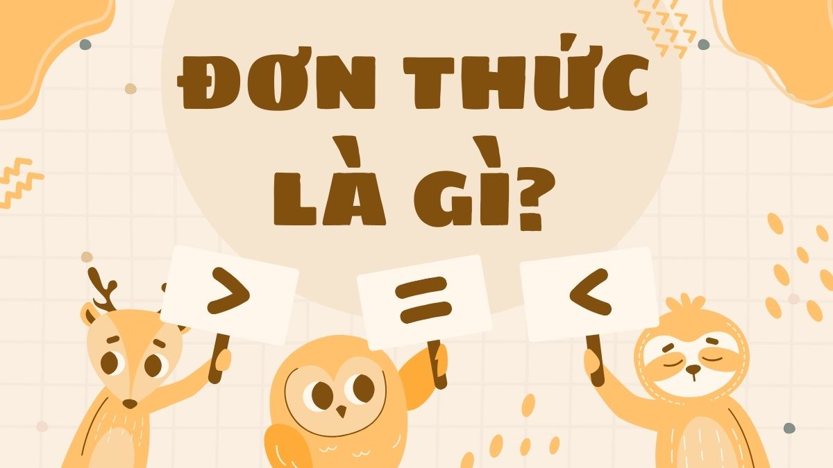 Đơn thức là gì? Các bậc của đơn thức, các dạng bài thường gặp