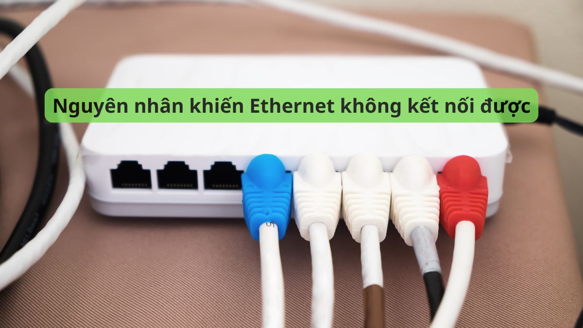 Nguyên nhân khiến Ethernet không kết nối được