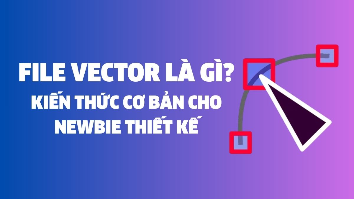 File vector là gì? Kiến thức cơ bản cho newbie thiết kế