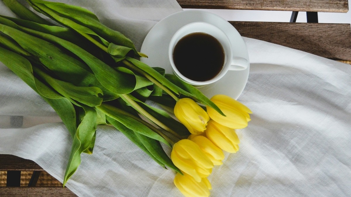 Hình nền iPad đẹp với hoa Tulip vàng tinh tế