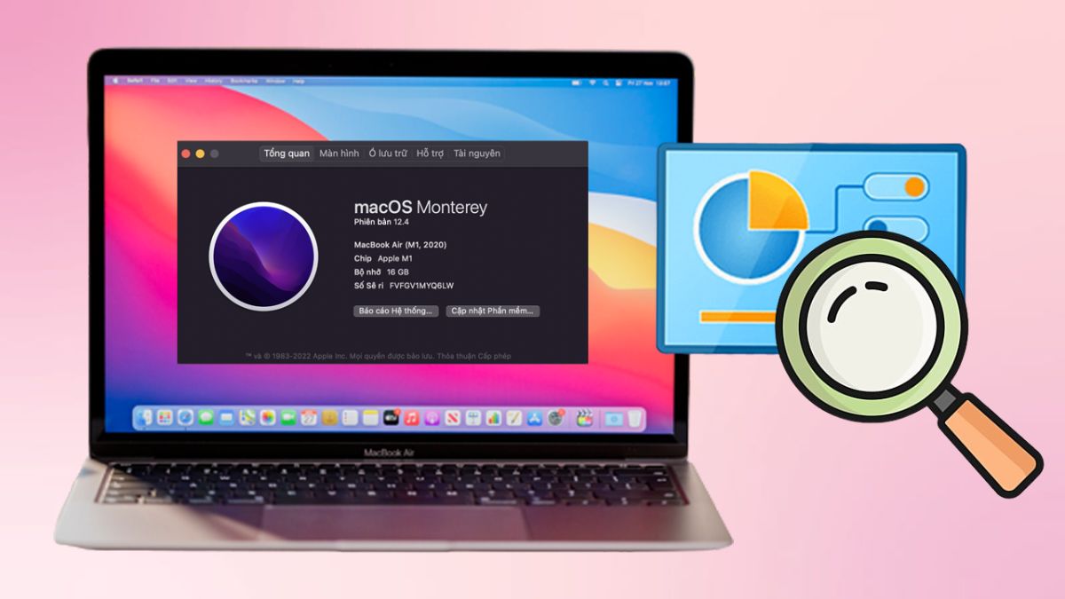 Những lỗi sai thường gặp khi kiểm tra cấu hình MacBook