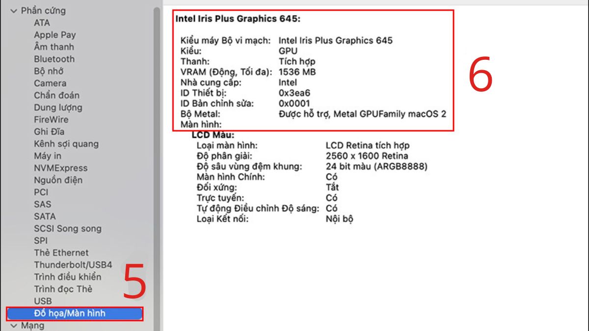 Hướng dẫn kiểm tra GPU của MacBook bước 3