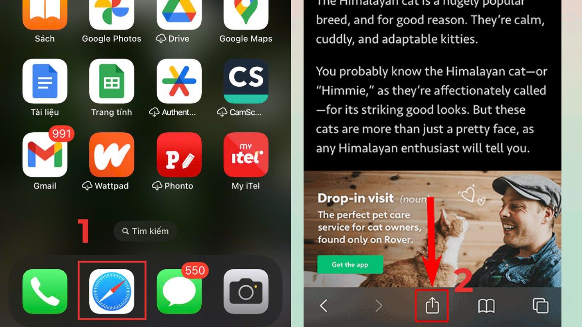 Cách lưu trang web thành PDF trên điện thoại iOS bước 1