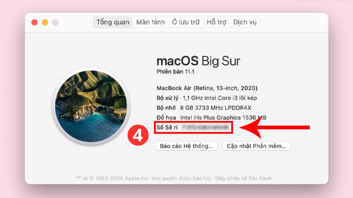 Kiểm tra số seri của máy