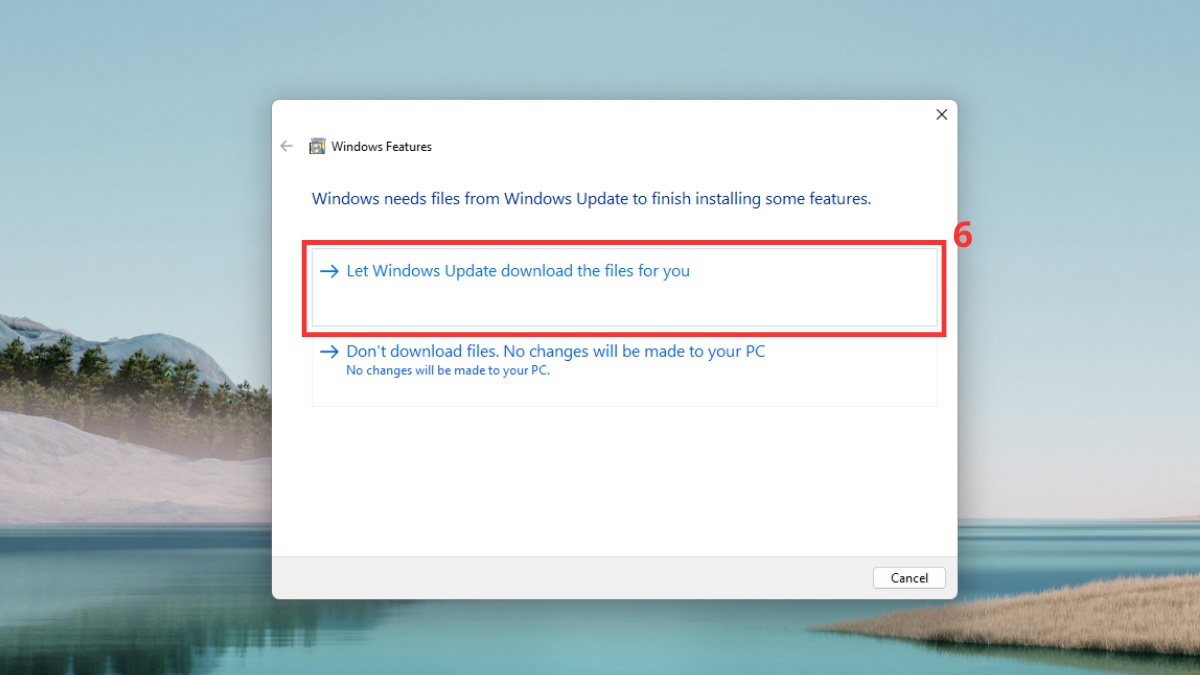 Chọn vào Let Windows Update download the files for you