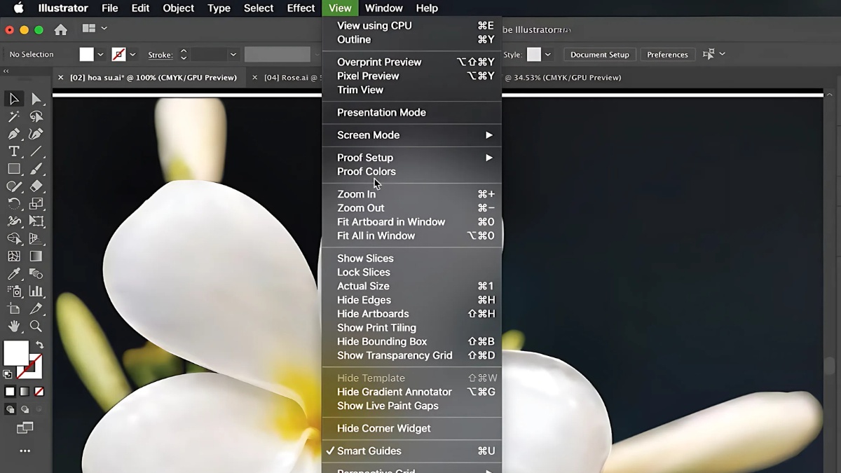 Một số phím tắt AI thông dụng trong menu View