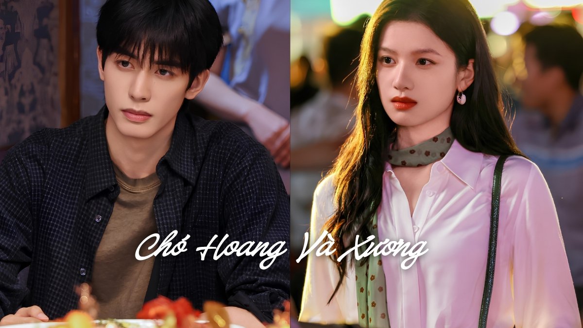 Chó Hoang Và Xương là bộ phim tổng tài được yêu thích