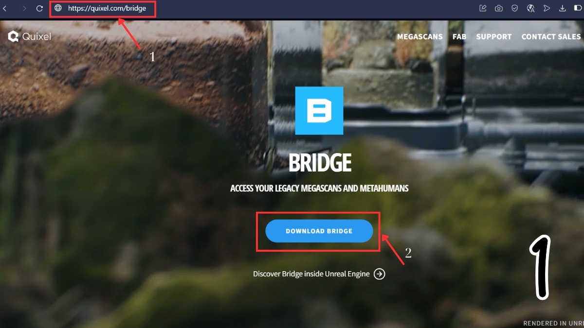 Truy cập vào link tải chính thức Quixel và chọn Download