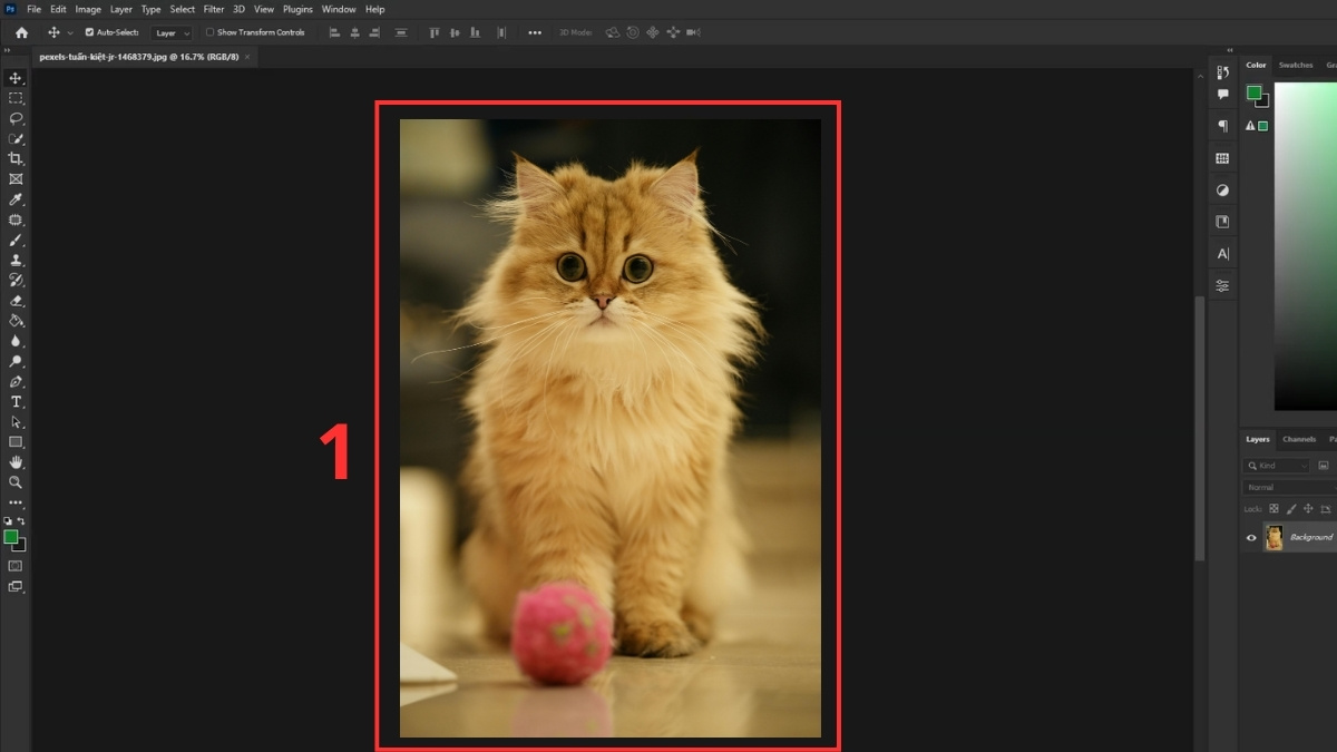 Các bước thay đổi Resolution bằng Image Size bước 1