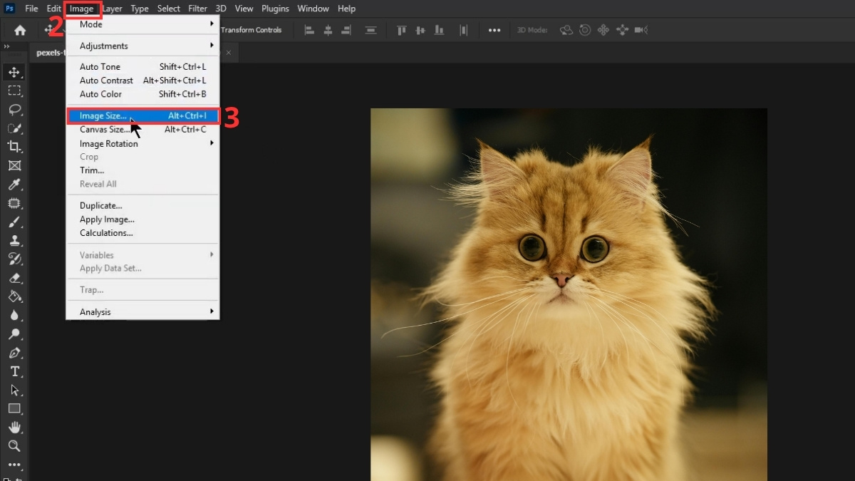 Các bước thay đổi Resolution bằng Image Size bước 2