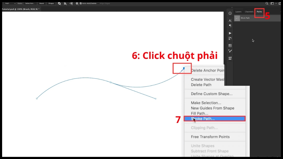 Kỹ thuật Stroke Path bằng Brush tạo nét nghệ thuật bước 3
