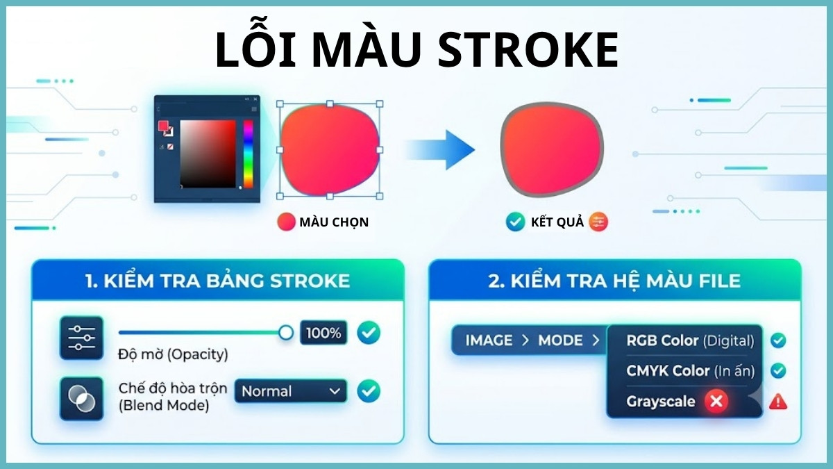Màu Stroke không đúng