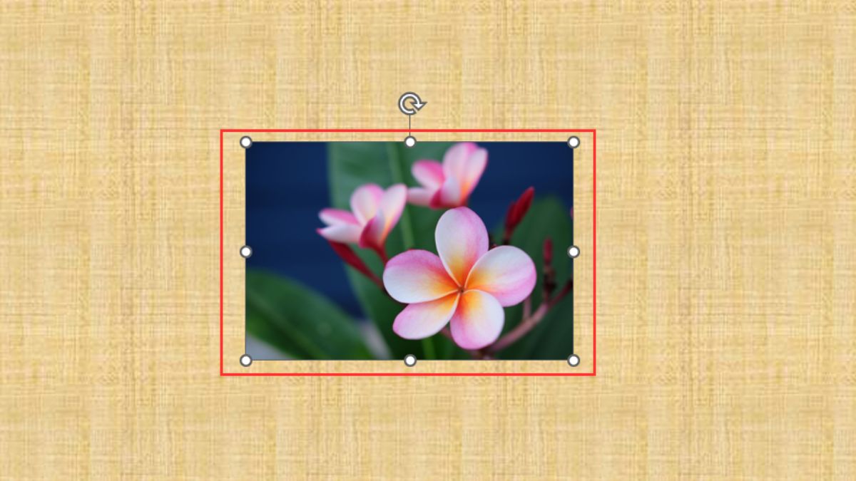 Tạo liên kết trong PowerPoint đến trang web bước 1 (Hình minh họa)