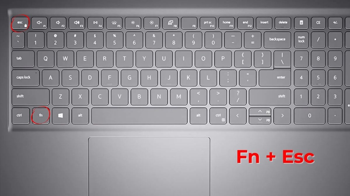 Tắt phím Fn trên laptop Dell bằng tổ hợp phím tắt