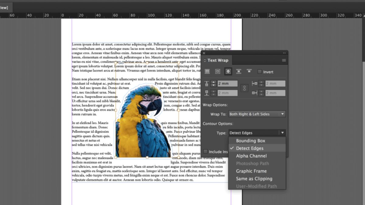 Cách sử dụng Text Wrap trong InDesign bước 3 (Hình minh họa)
