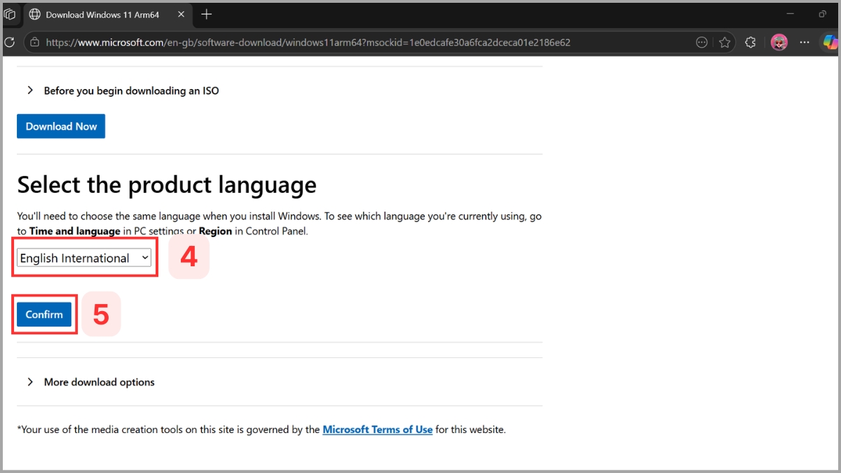 Hướng dẫn tải và cài đặt Windows 11 ARM chính thức bước 3