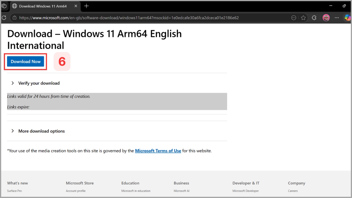 Hướng dẫn tải và cài đặt Windows 11 ARM chính thức bước 4