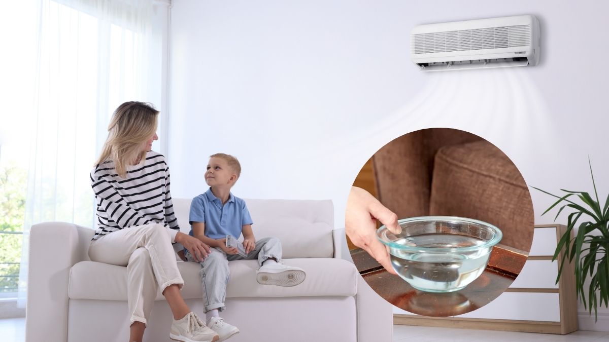 Để chậu nước trong phòng máy lạnh có thực sự hiệu quả?
