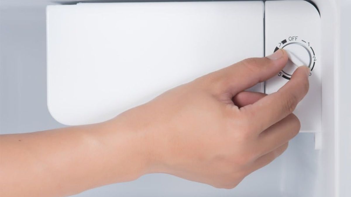 Nhiệt độ lý tưởng để ốc không sốc lạnh