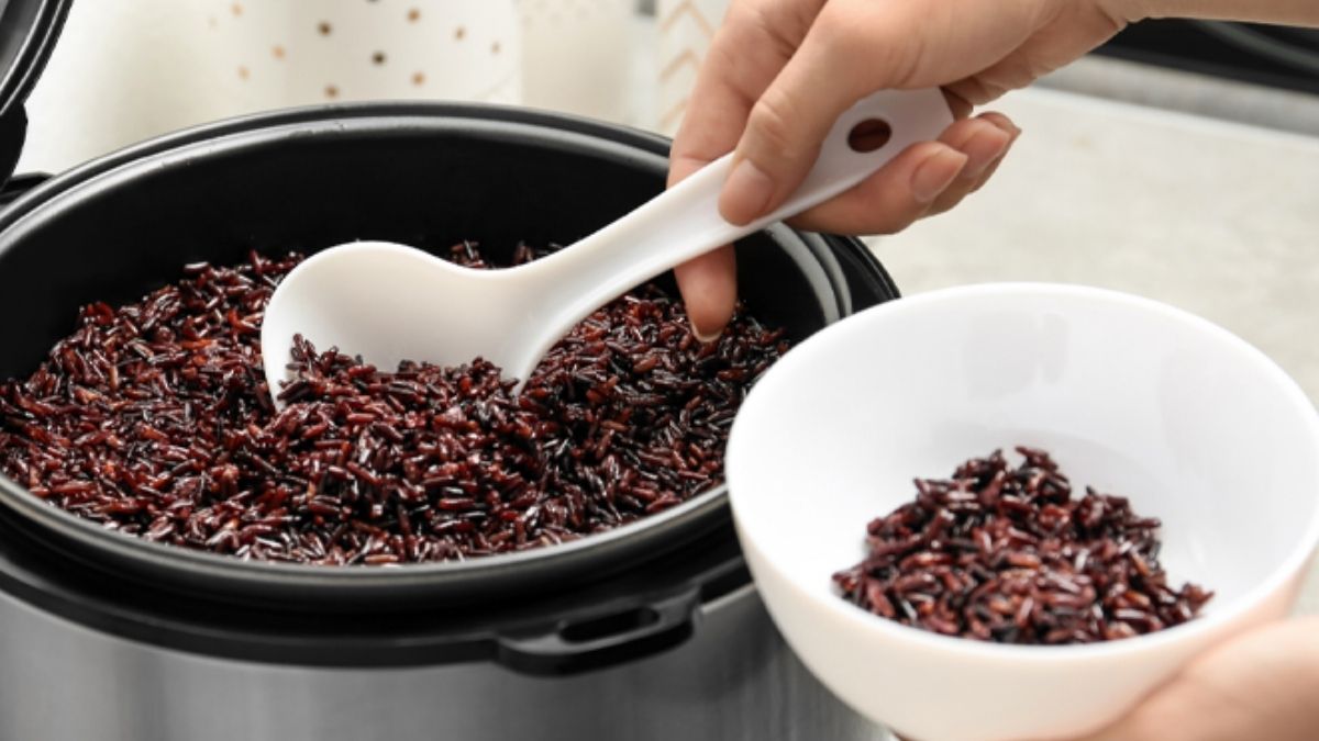 Cách bảo quản cơm gạo lứt trong tủ lạnh đúng cách